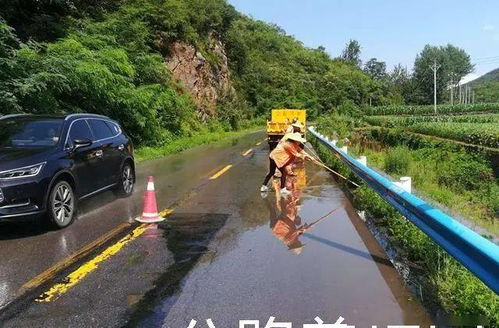 公路养护网 河南林州市公路局开展汛期安全隐患排查,确保干线公路安全度汛