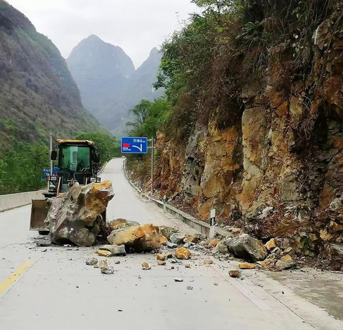 河池公路部门全力以赴抗洪抢险