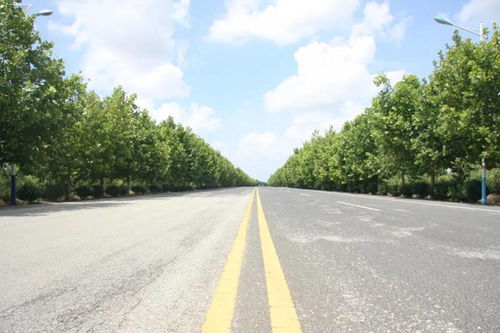 畅 安 舒 美 的农村公路 养 成记