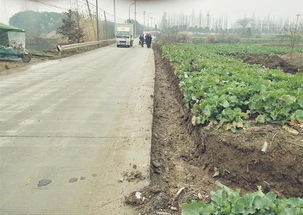 关于 农村公路养护 ,你知道多少