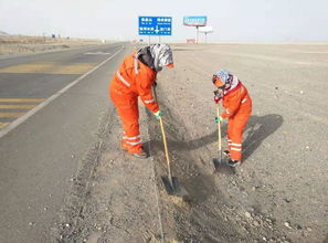 敦煌 旅游公路养护忙