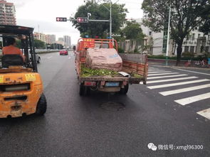 风里雨里,公路人都在这里保道路畅安