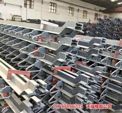 培养 贺州公路d80型桥梁伸缩缝 路桥养护