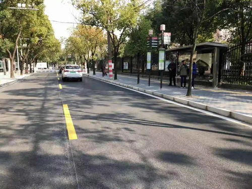 为民办实事 宝山区7条道路变身精品示范路