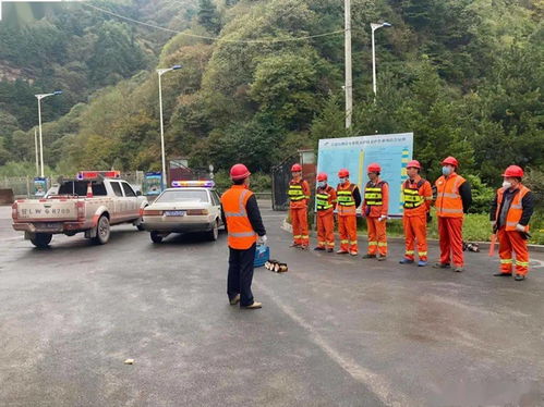 公路养护网 付出是最好的庆祝