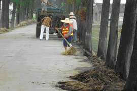 山东省农村公路管理养护办法