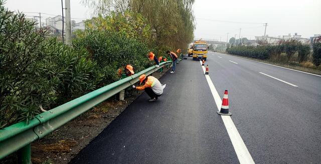 全部通车!巢湖市2个普通国省道养护大中修工程完工