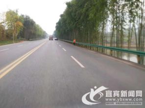 打造百里翠竹长廊 宜长路整治塌方十余处