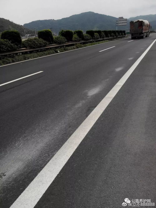 公路养护网 高速公路常见的四大病害及原因刨析