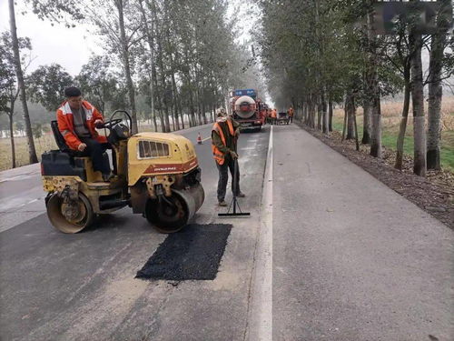 市公路站狠抓秋季公路养护保畅通