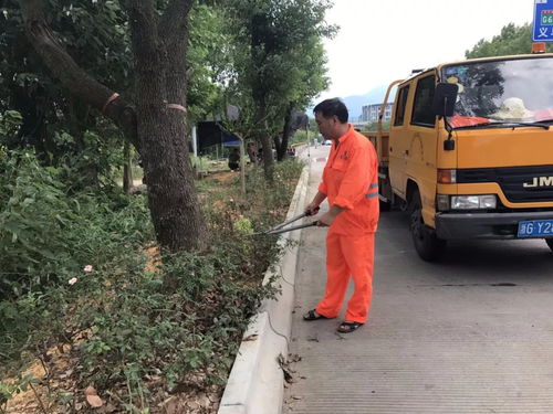 泪目 这些公路养护人的默默坚守,让浙江的公路越来越美
